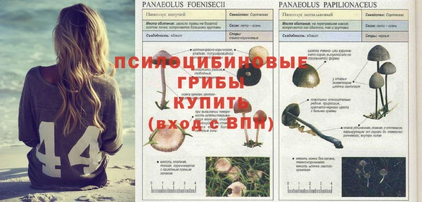 каннабис Краснослободск