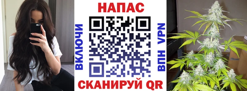 Канабис Amnesia  Мураши 
